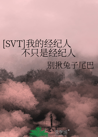 [SVT]我的经纪人不只是经纪人