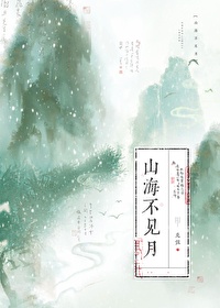 山海不见月小说