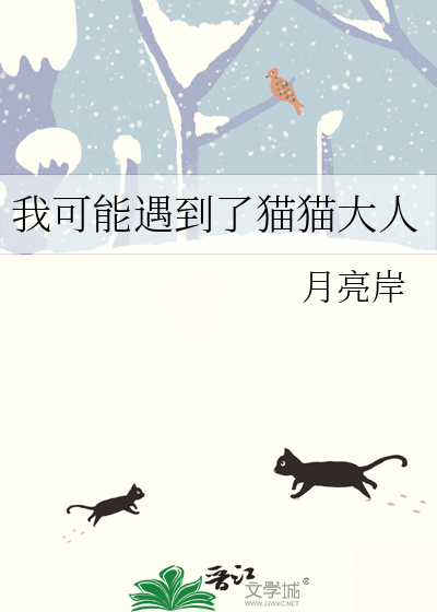 我可能遇到了猫猫大人