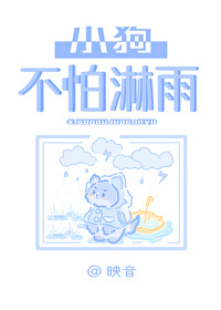 小狗不怕淋雨