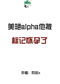 美艳alpha他被标记怀孕了