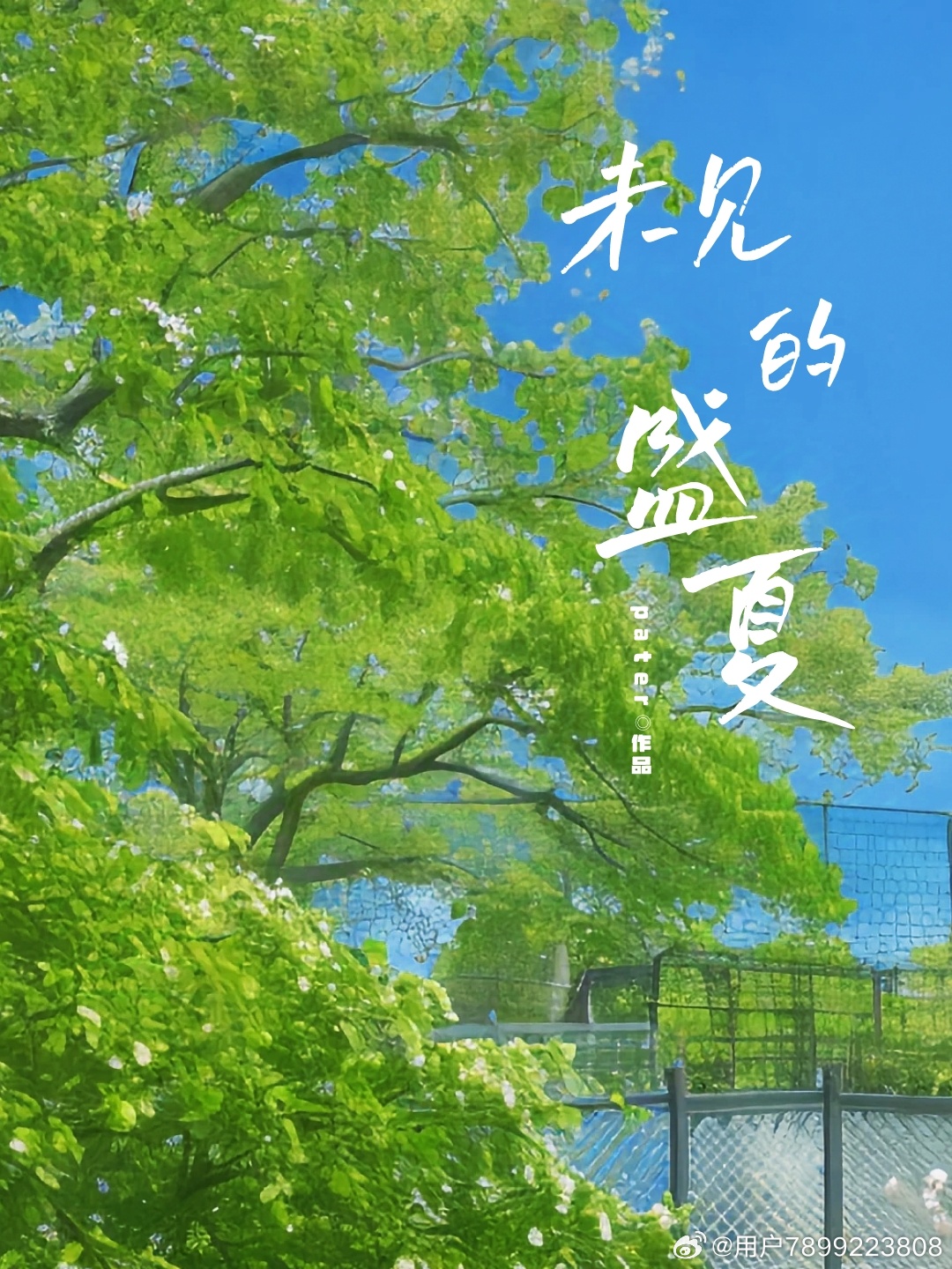 未见的盛夏