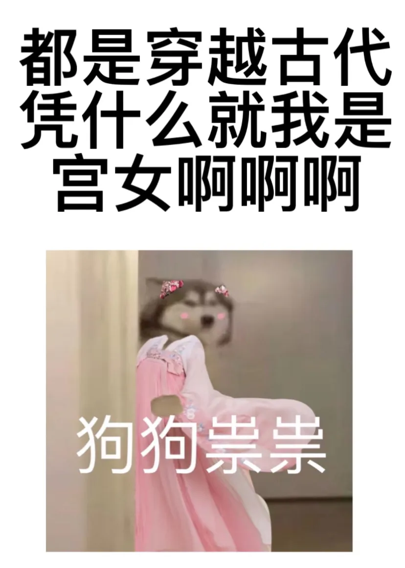 都是穿越凭什么就我穿成宫女