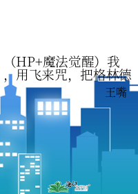 （HP+魔法觉醒）我，用飞来咒，把格林德沃从煤气灶扯出来