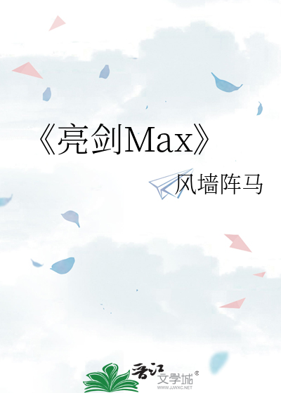 《亮剑Max