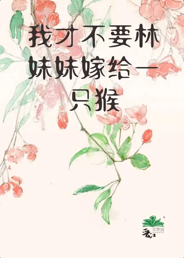 圣黛：我才不要林妹妹嫁给一只猴