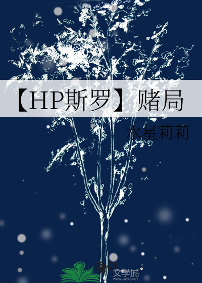 【HP斯罗】赌局