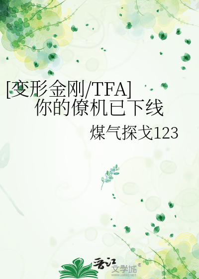 [变形金刚/TFA]你的僚机已下线