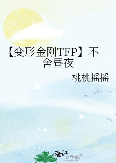 【变形金刚TFP】不舍昼夜