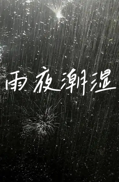 雨夜潮湿