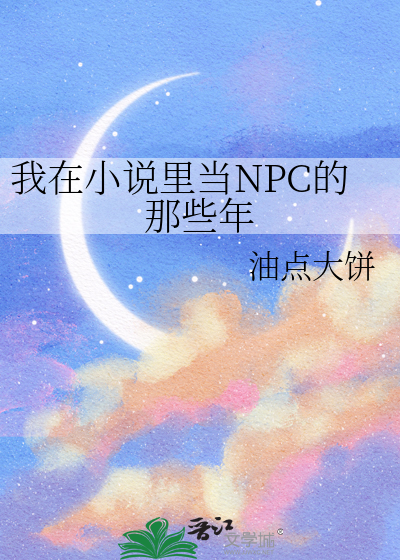 我在小说里当NPC的那些年