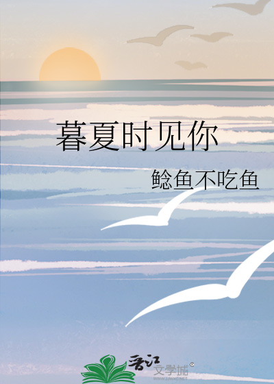 暮夏时见你