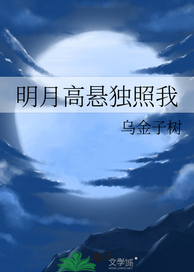 明月高悬独照我