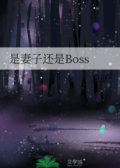 是妻子还是Boss