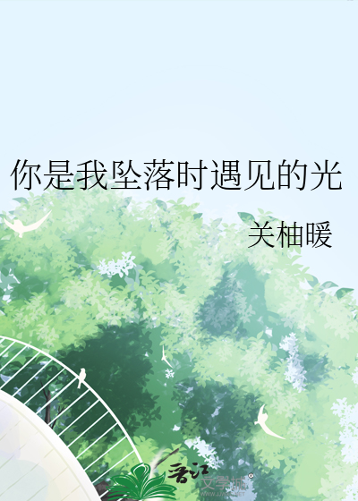 你是我坠落时遇见的光